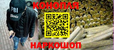 сатива Будённовск