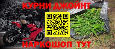 сатива Будённовск