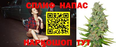 сатива Будённовск