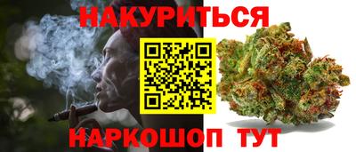 сатива Будённовск