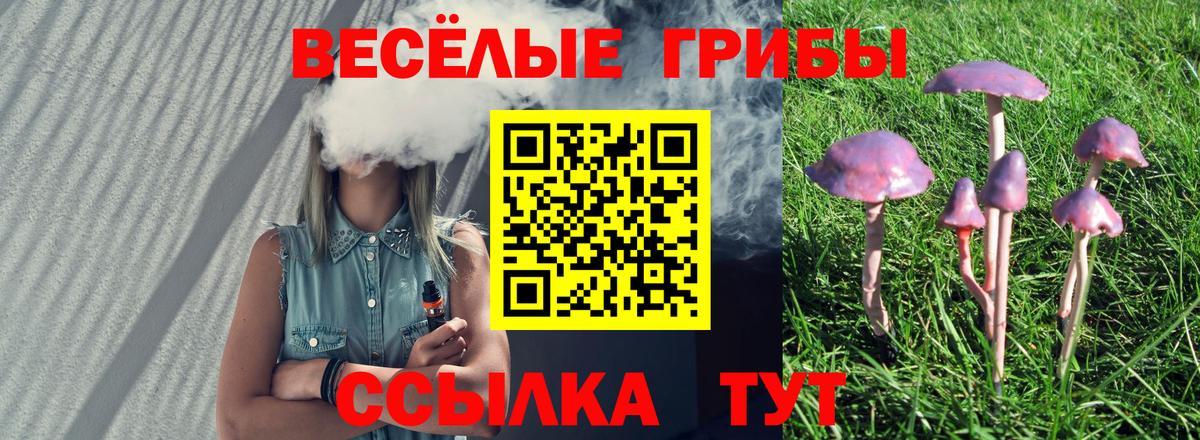 Галлюциногенные грибы прущие грибы  Вход с VPN  Подольск  Псилоцибиновые грибы Psilocybine cubensis 