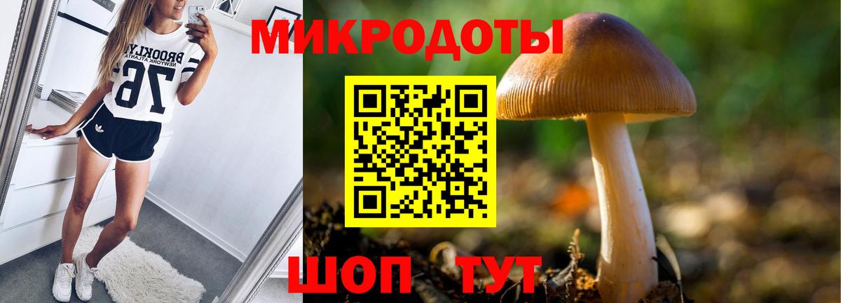 Галлюциногенные грибы Cubensis Подольск